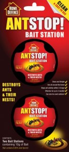 ant